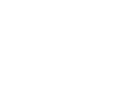 Evolution games at Spin 247 Casino